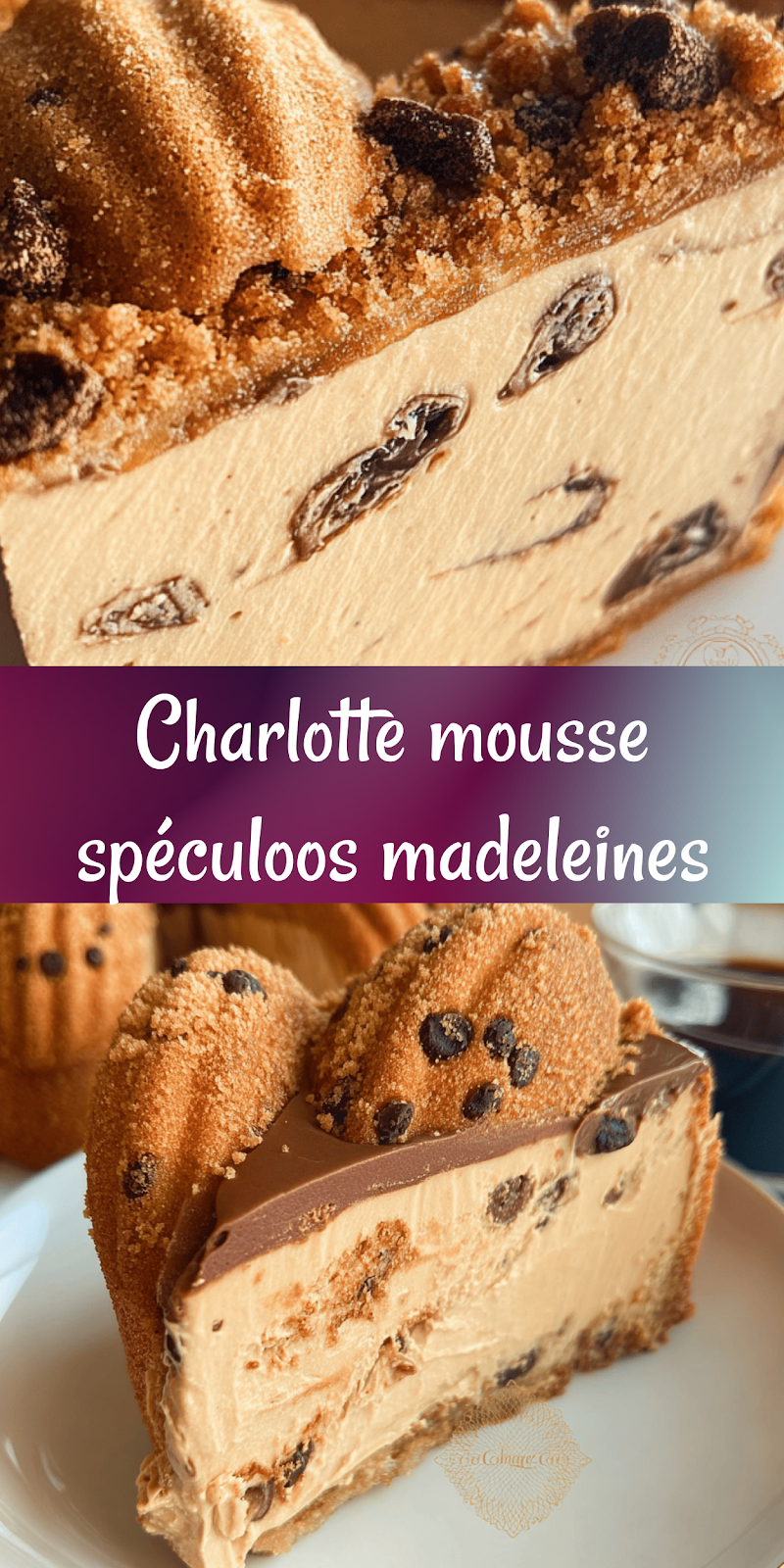 Charlotte mousse Spéculoos et Madeleines – Recette Facile et Gourmande à Tester !